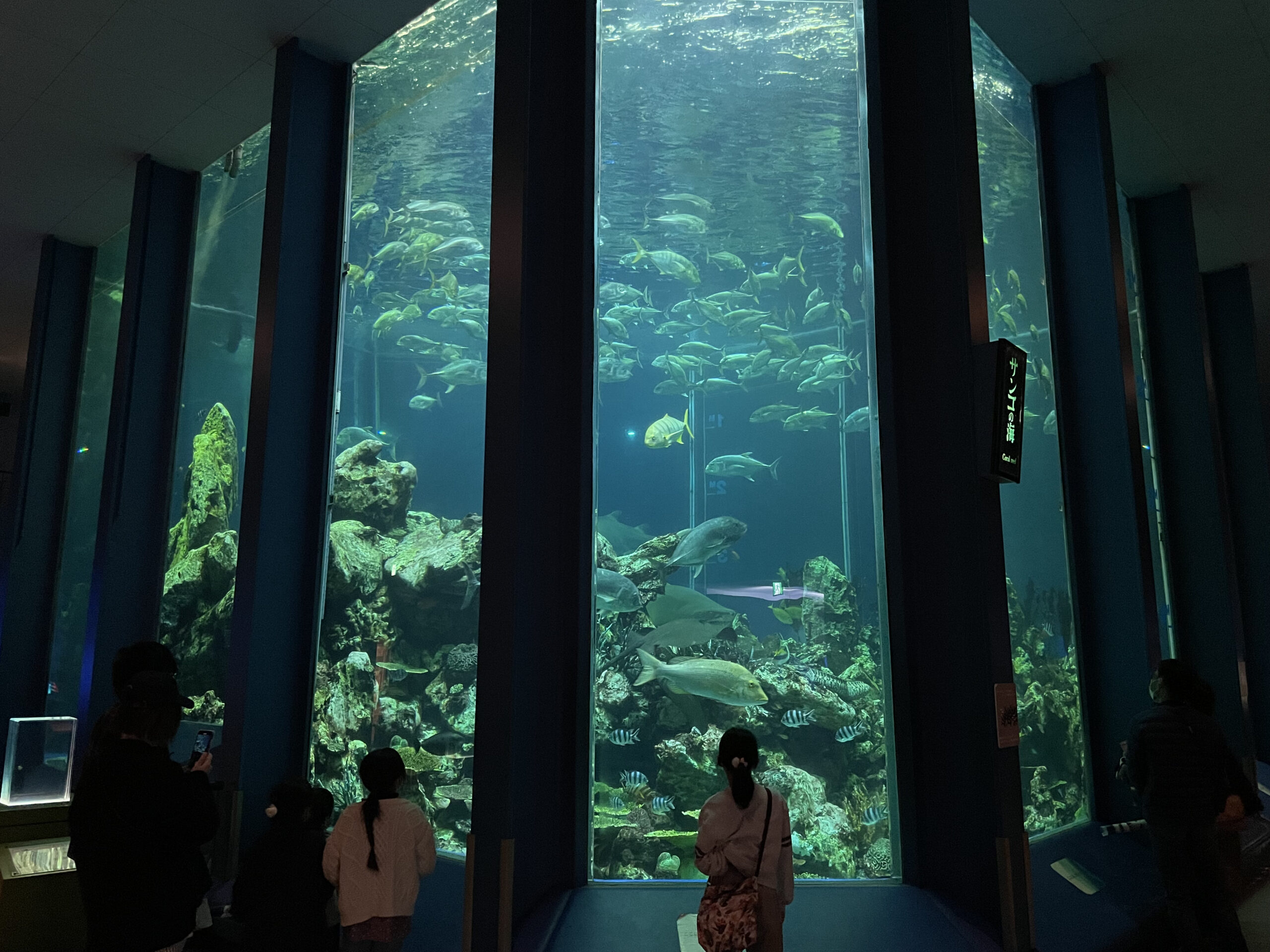 東海大学 海の博物館