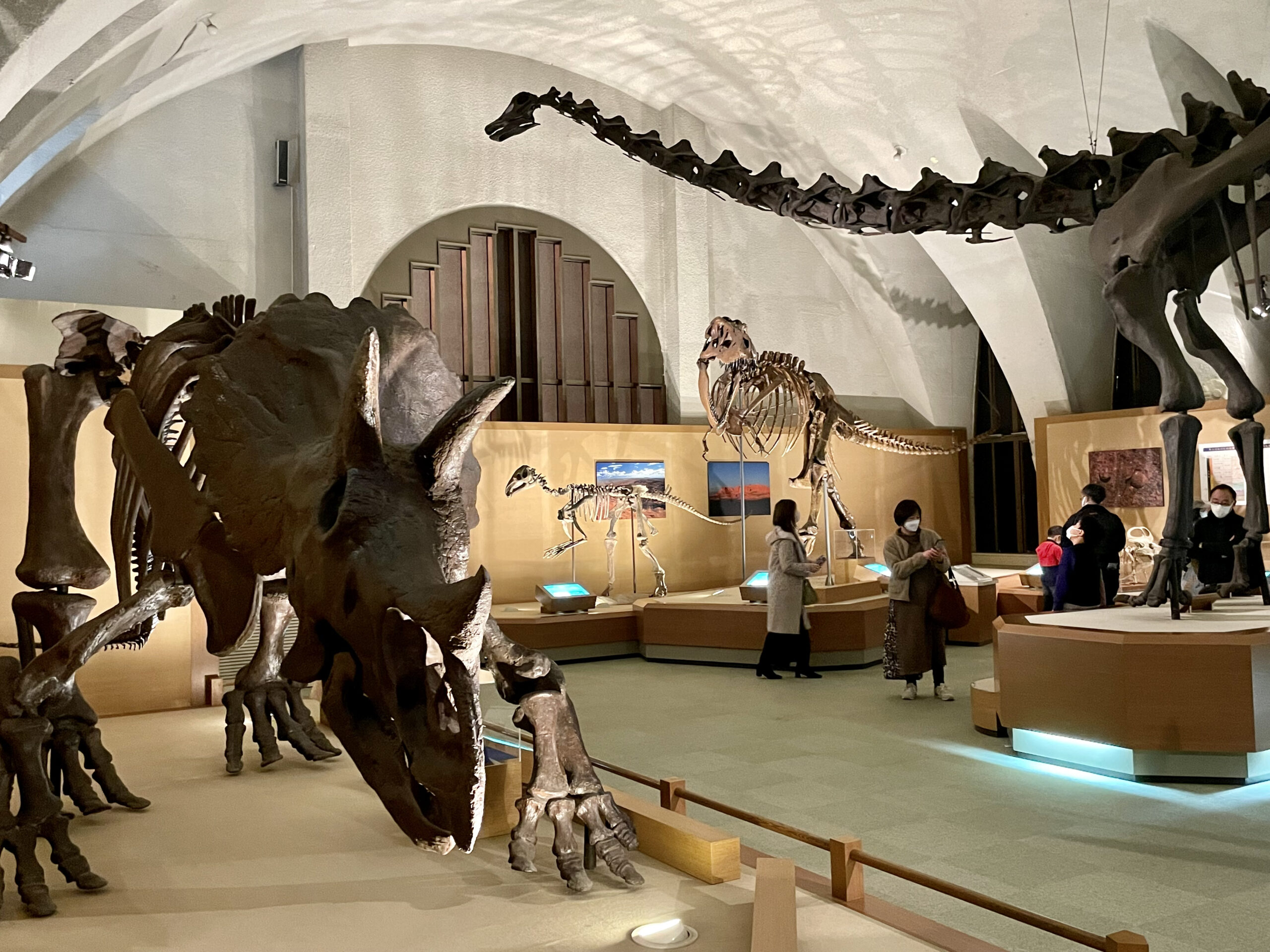 東海大学 自然史博物館