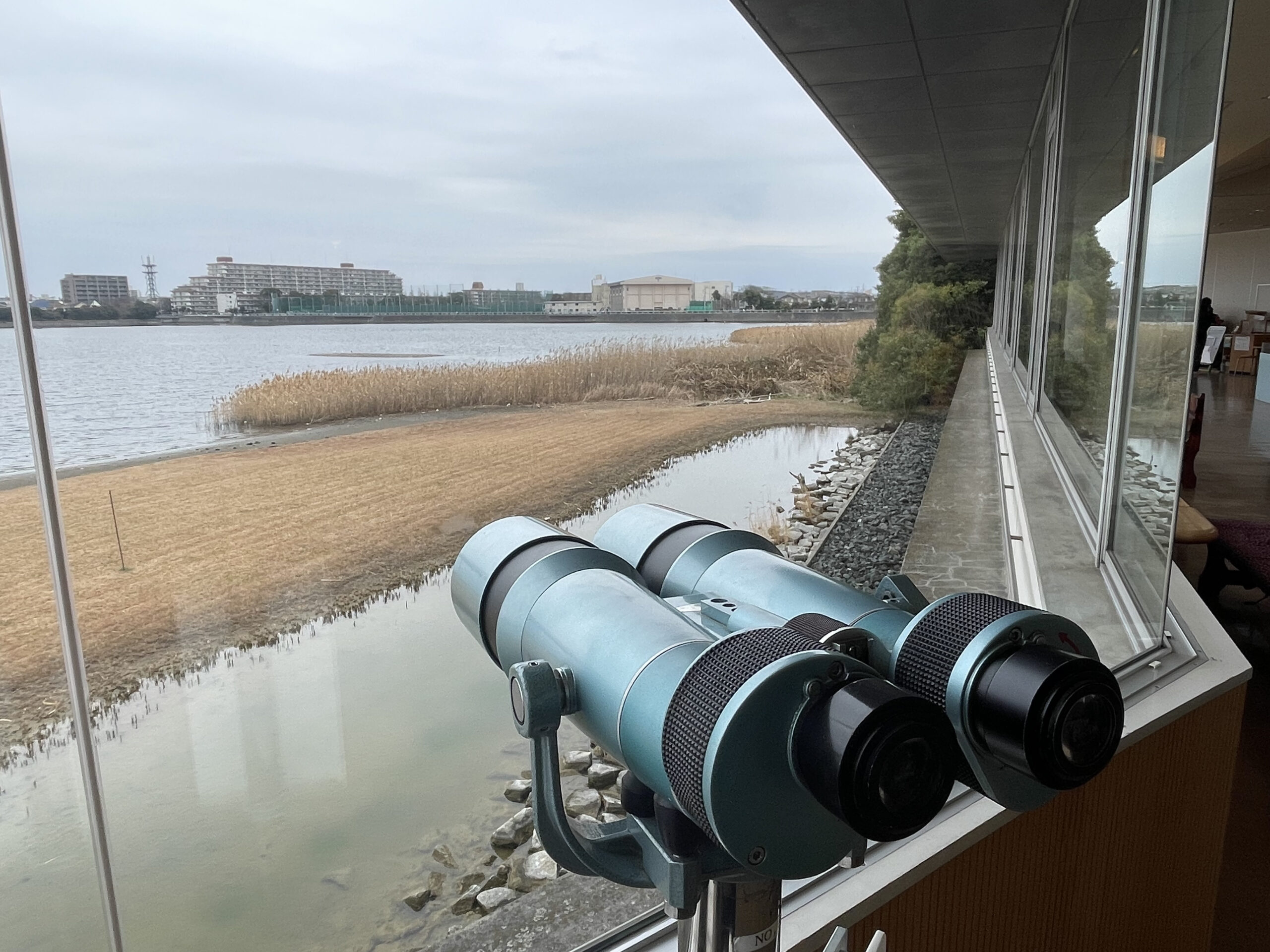 谷津干潟自然観察センター