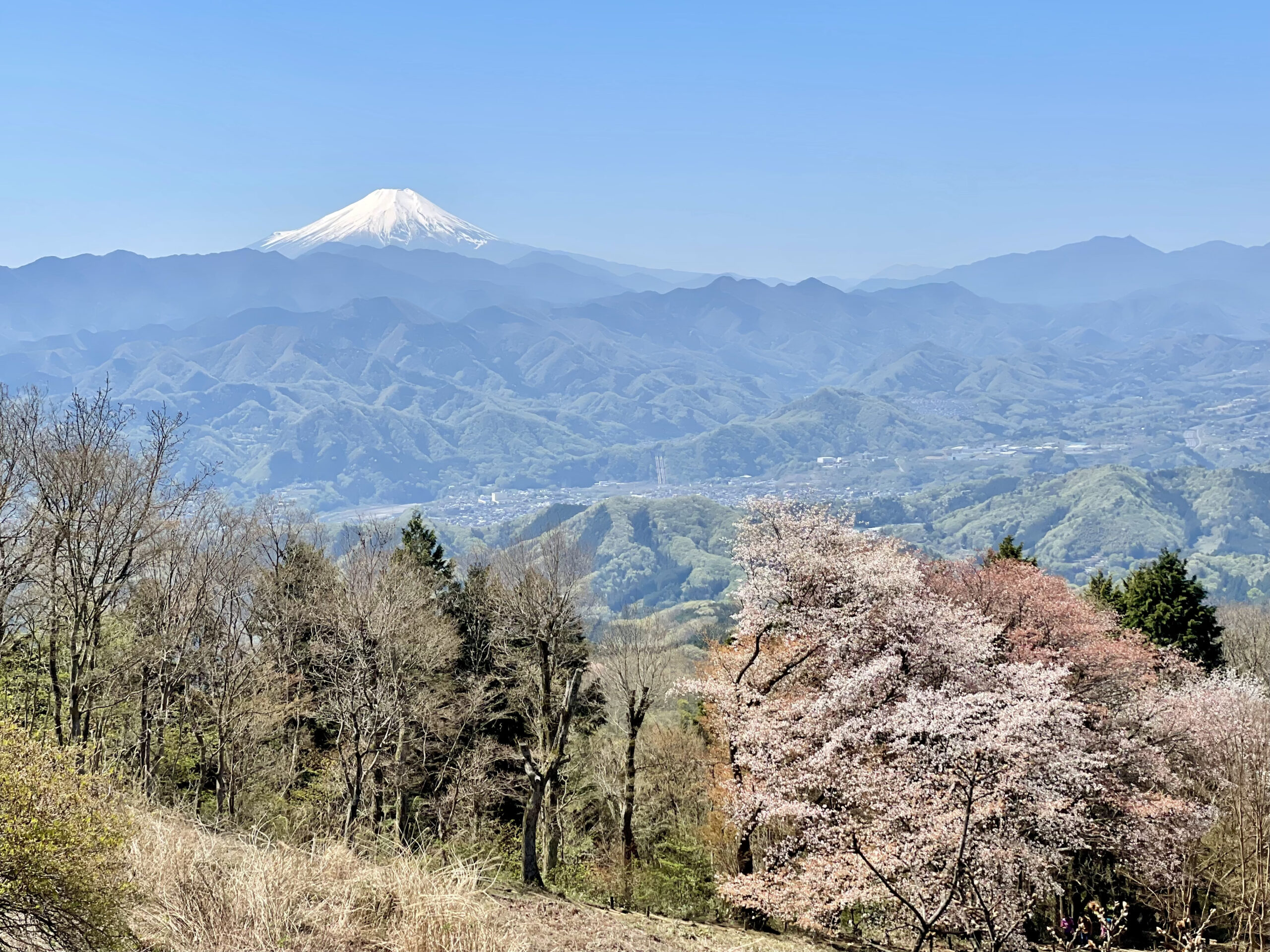 陣馬山・景信山・小仏城山