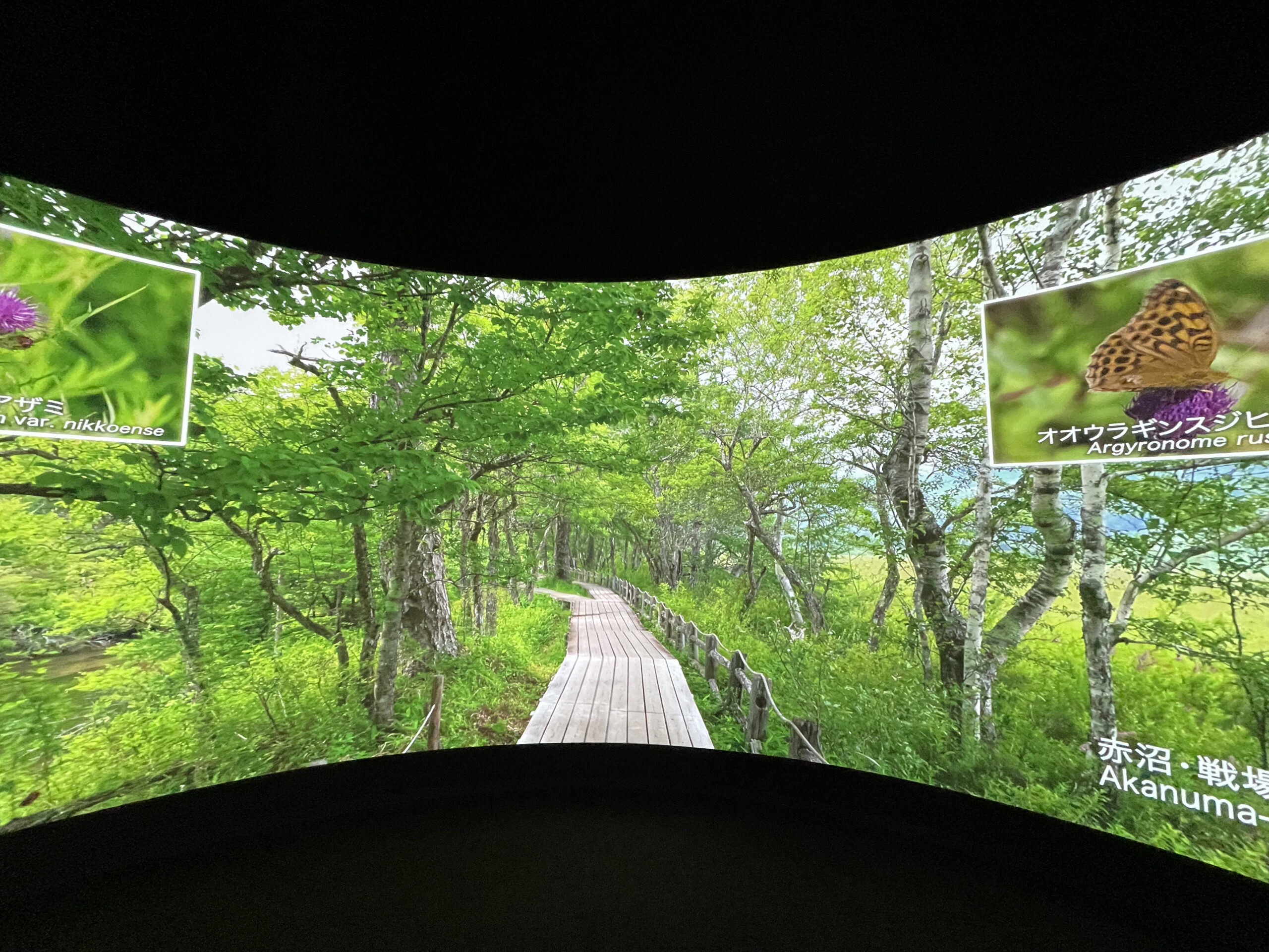 日光自然博物館