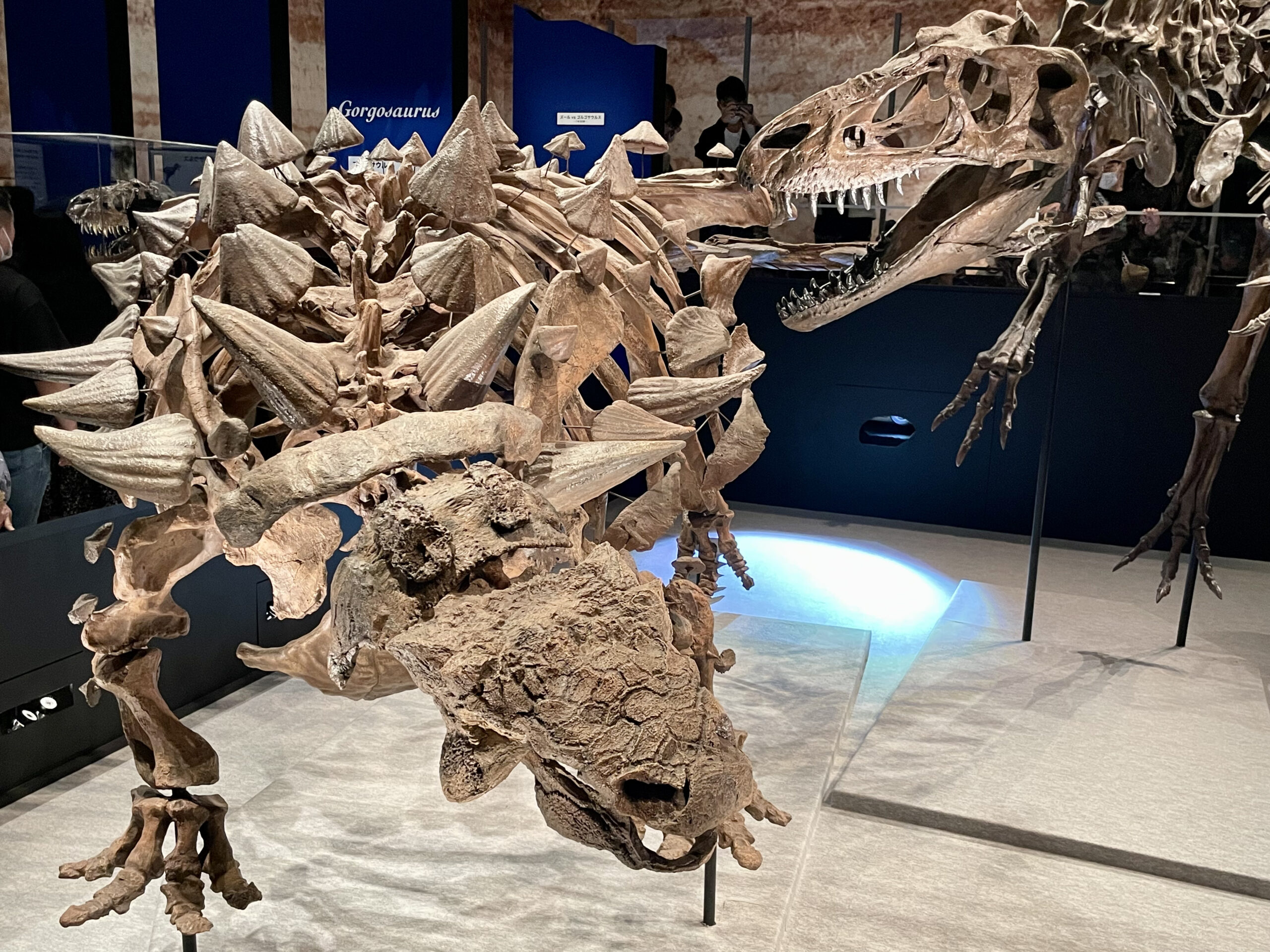 恐竜博2023  in 国立科学博物館