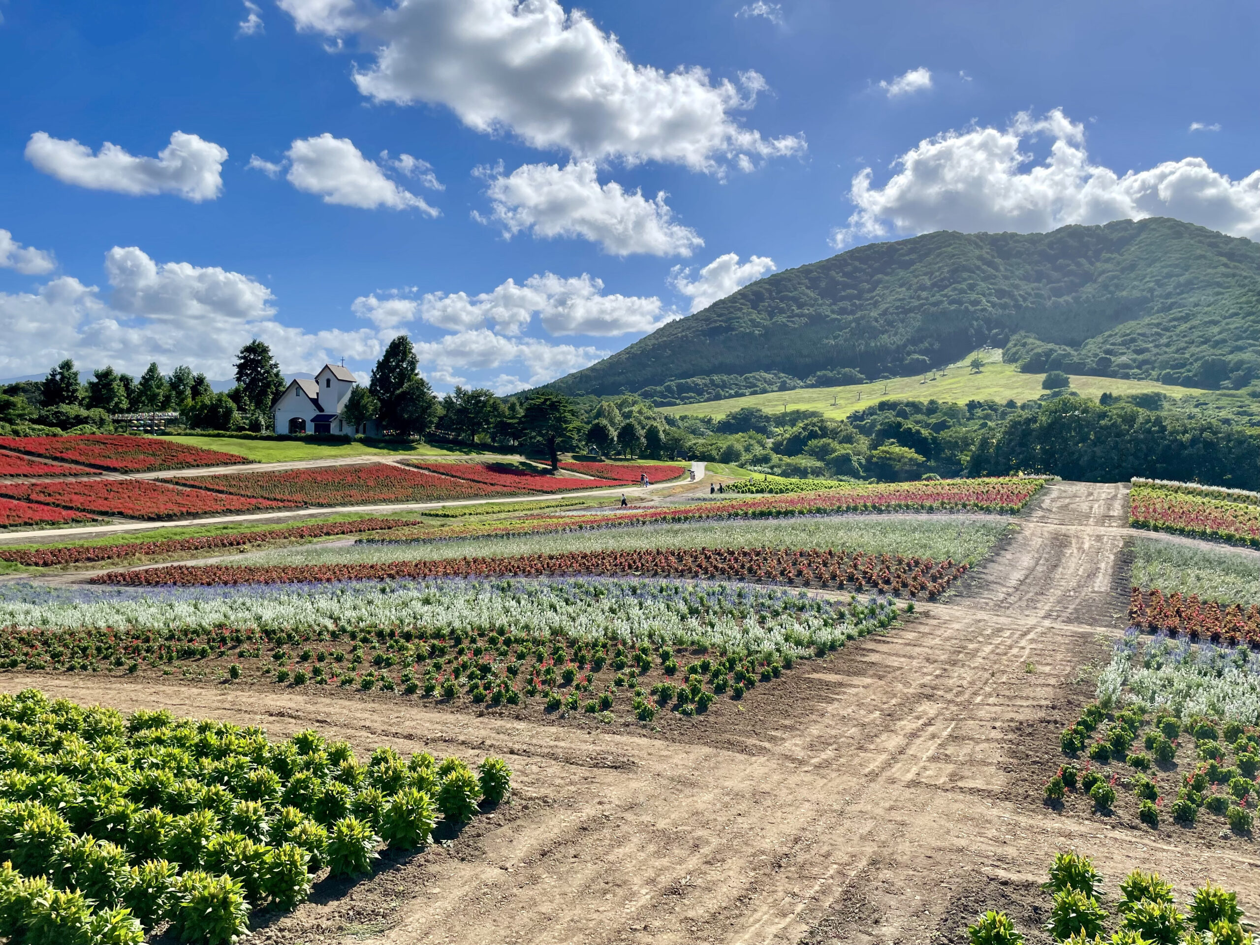 やくらいガーデン